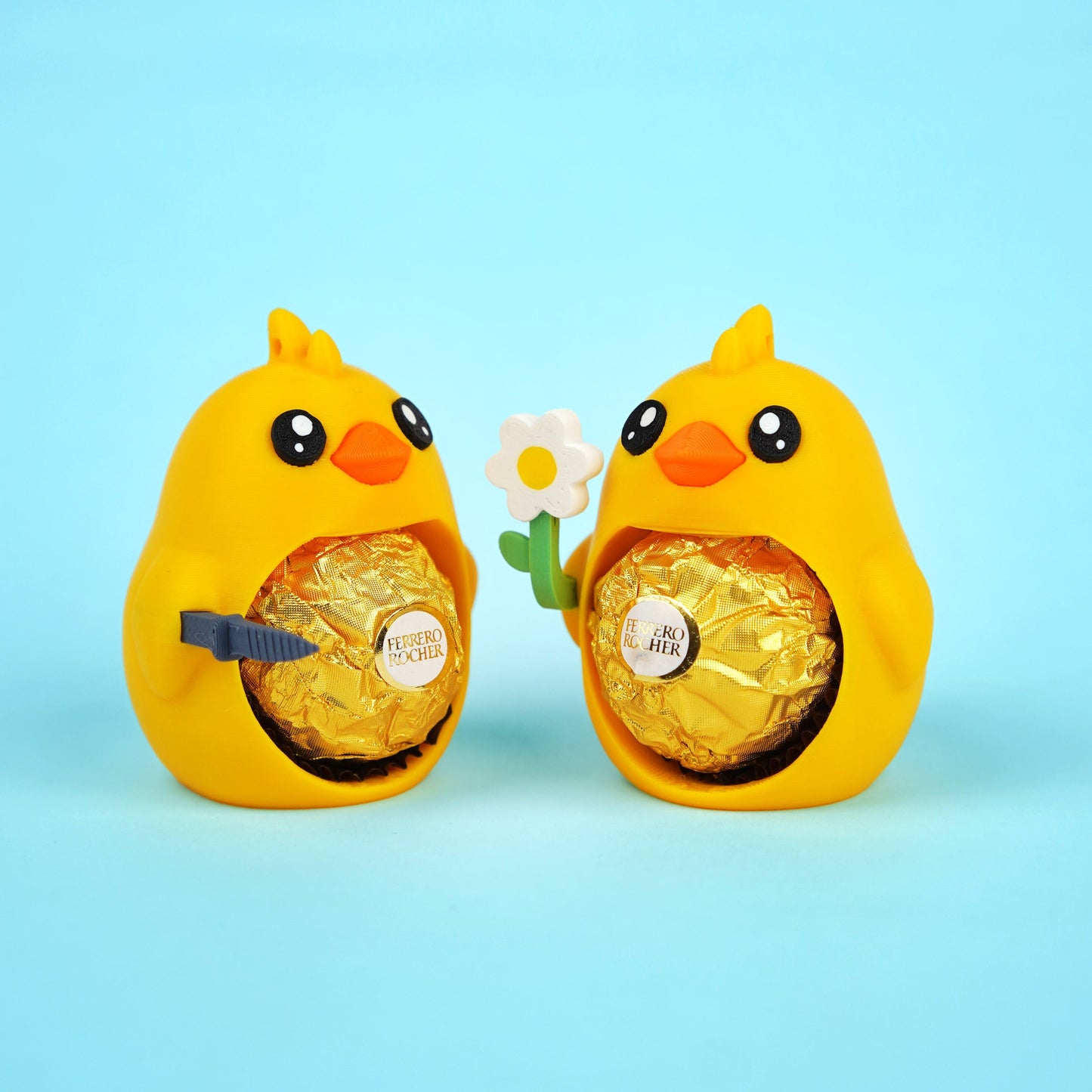 Chucky, the Baby Chicken – Small surprise, big joy!