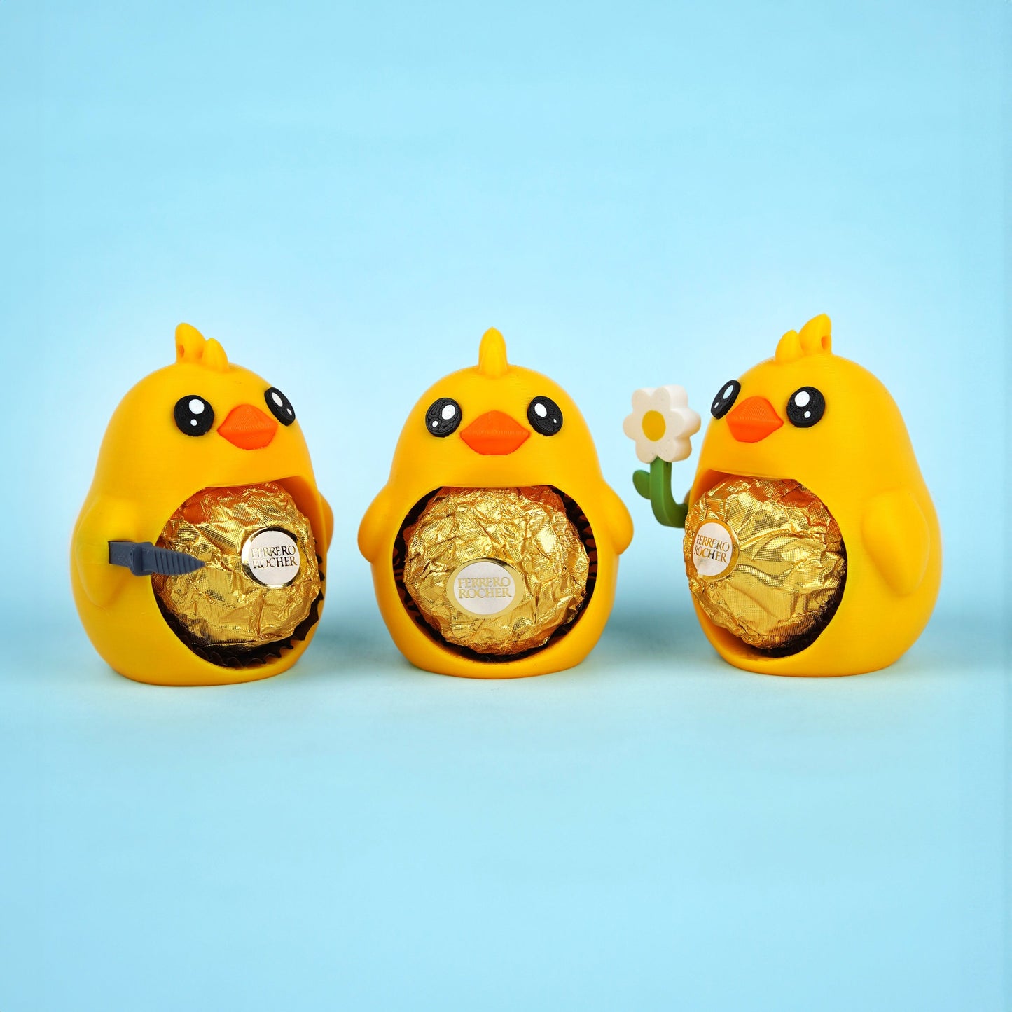 Chucky, the Baby Chicken – Small surprise, big joy!