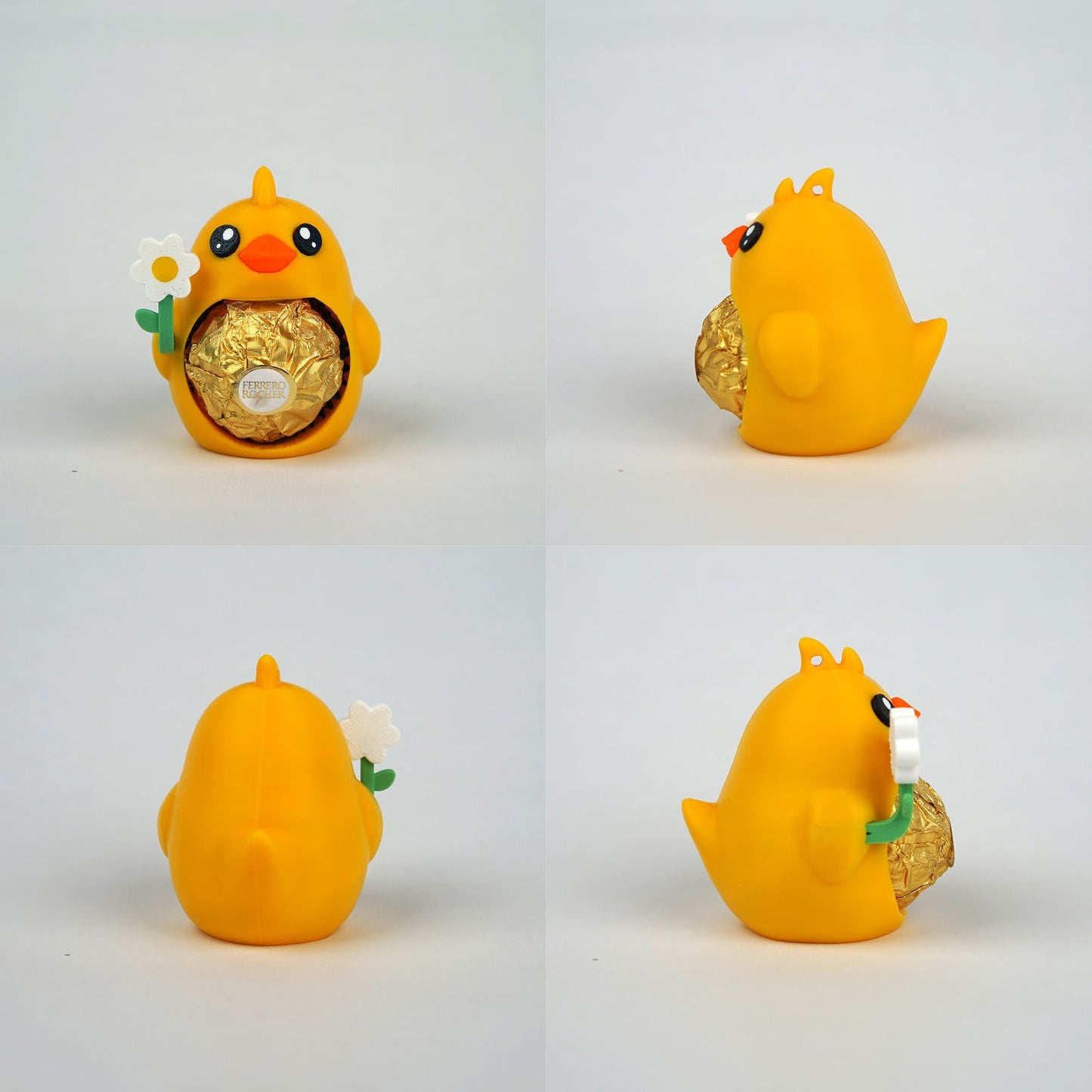 Chucky, the Baby Chicken – Small surprise, big joy!