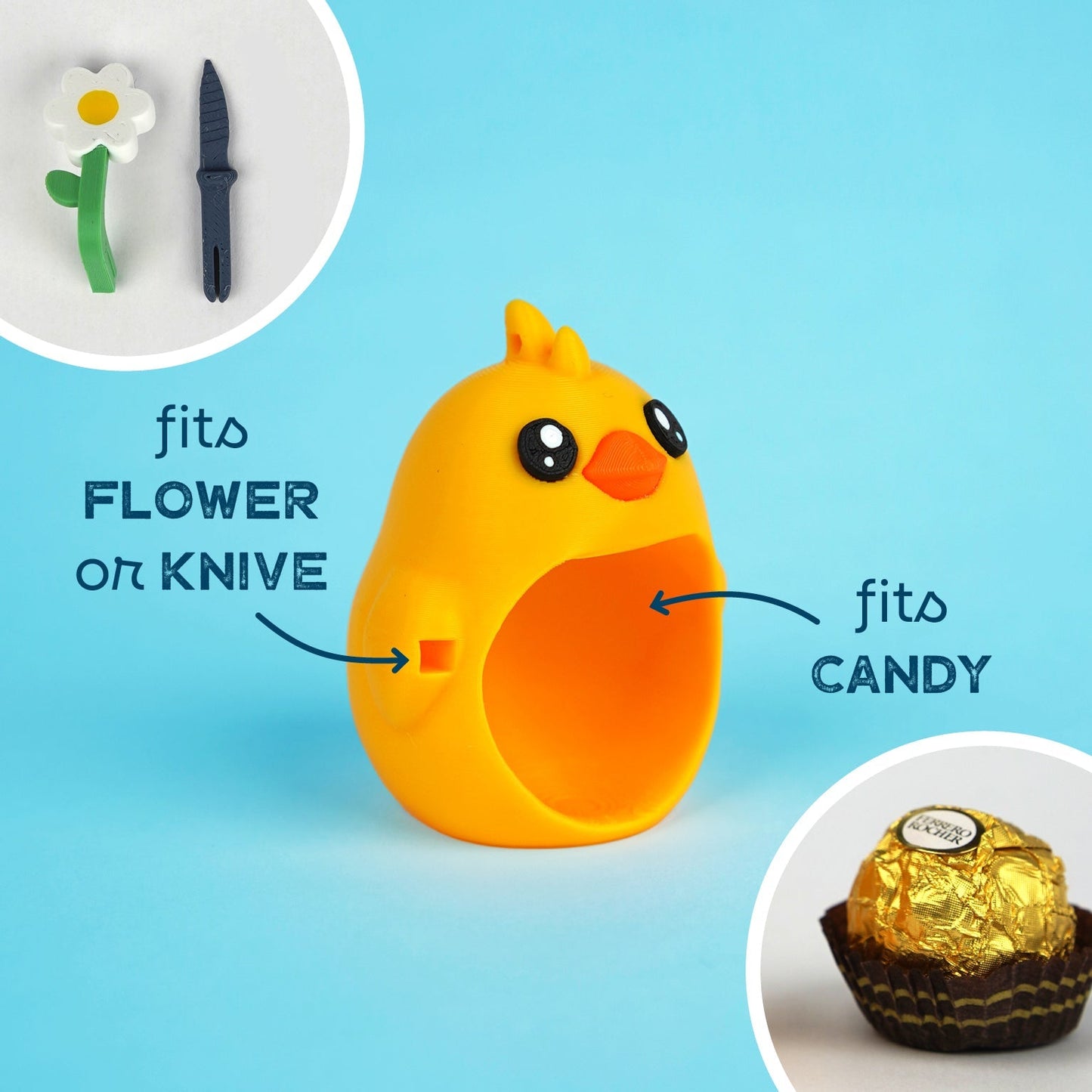 Chucky, the Baby Chicken – Small surprise, big joy!