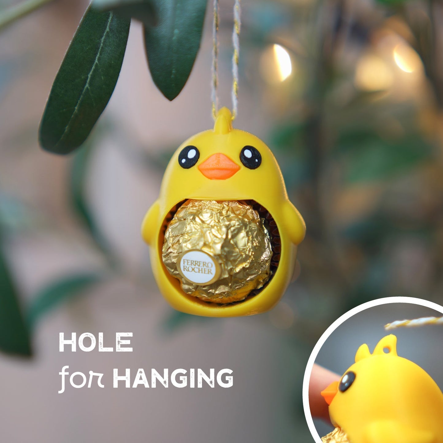 Chucky, the Baby Chicken – Small surprise, big joy!