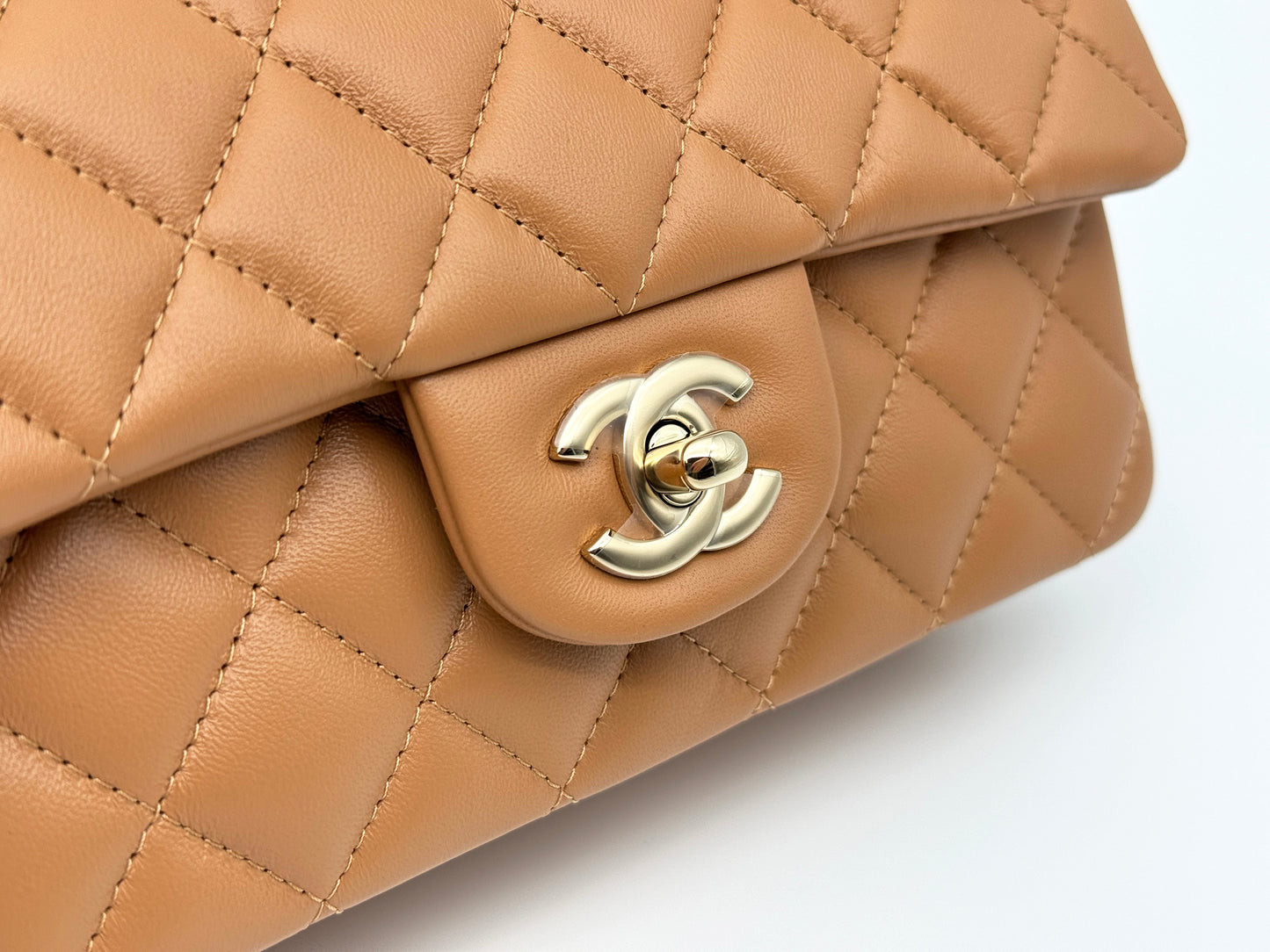 Fashion Bags
