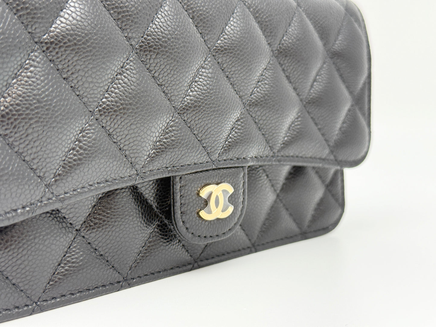 Fashion Bags