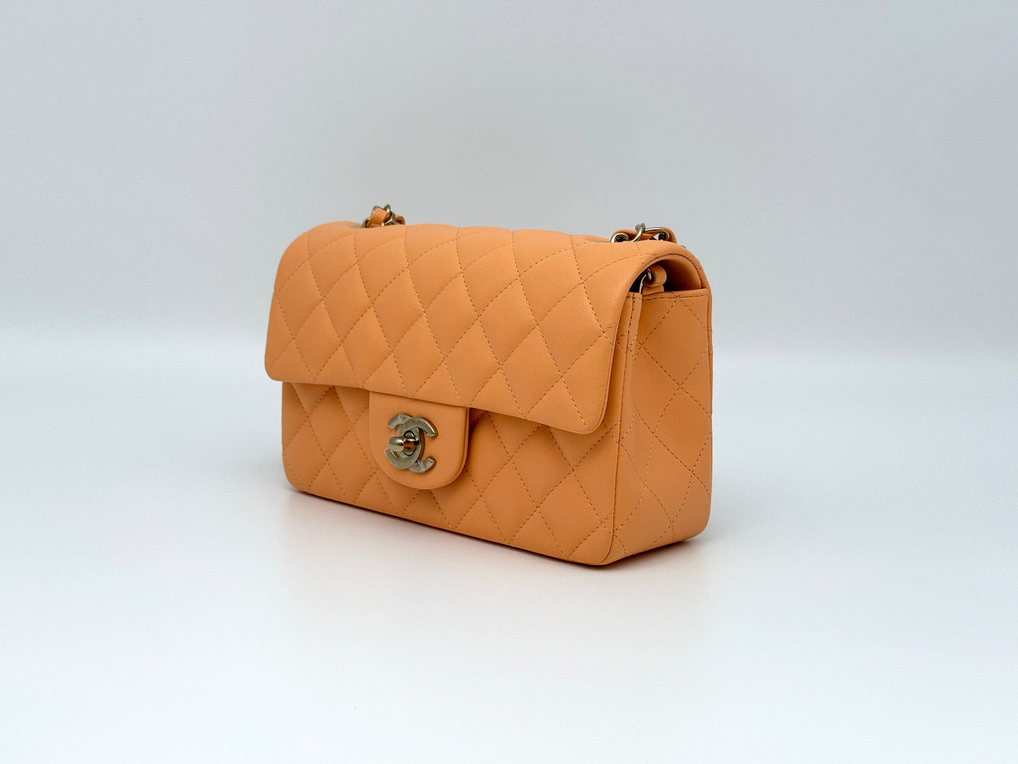 Fashion Bags