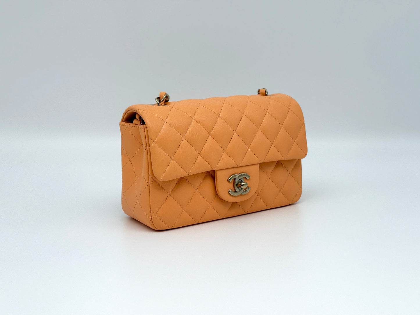 Fashion Bags